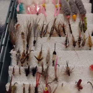 677b3fcd-3f2c-4c10-98ac-76377ab370ef