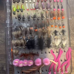 67ea9190-e6ae-48c1-a2bf-eeafc42b7af9