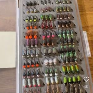 67f3f3da-92dc-43fb-b78c-079f23c677d6