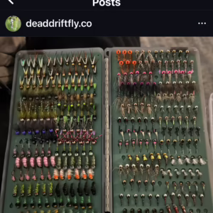 67f3f676-36eb-4073-b884-21724013224a